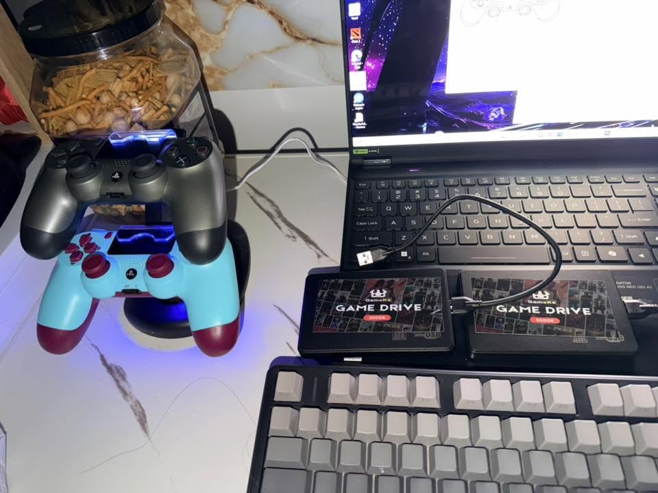 2X500GB WINDOWS GAMES